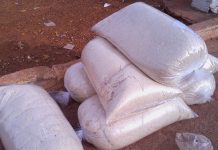 Abengourou : Ces femmes de Sankadiokro qui ravitaillent le marché du ‘’Garba’’ à Abidjan