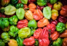 Le secret de la longévité se cacherait-il dans un piment ?