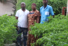 Un éducateur propose l’agriculture hors sol comme solution à la désertification