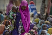 L’ONU alerte sur la flambée des prix et la faim qui menacent la stabilité de dizaines de pays